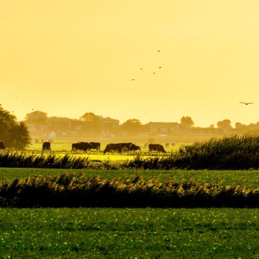 Vakantiehuis Het Voorhuis Op Landgoed Koepeltjesplaats Gaast Exterior foto