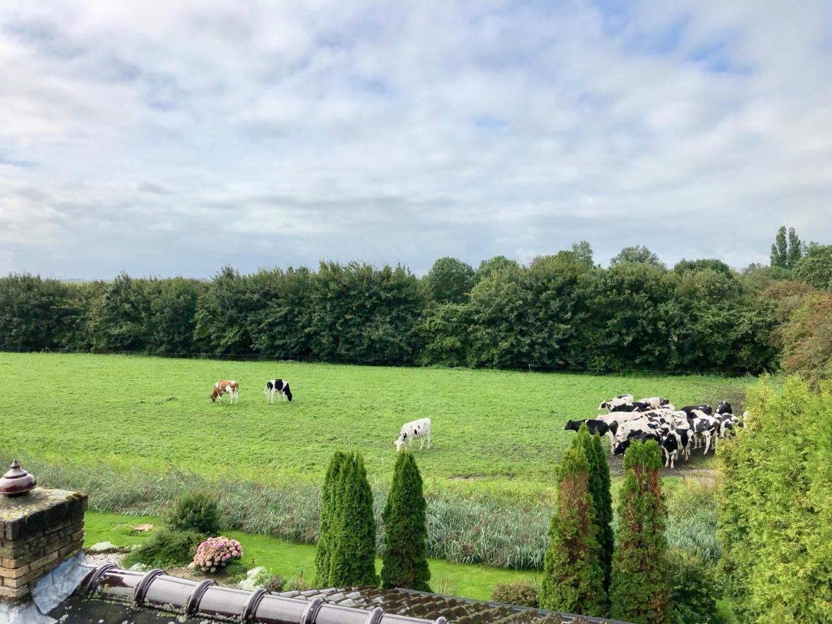 Vakantiehuis Het Voorhuis Op Landgoed Koepeltjesplaats Gaast Exterior foto